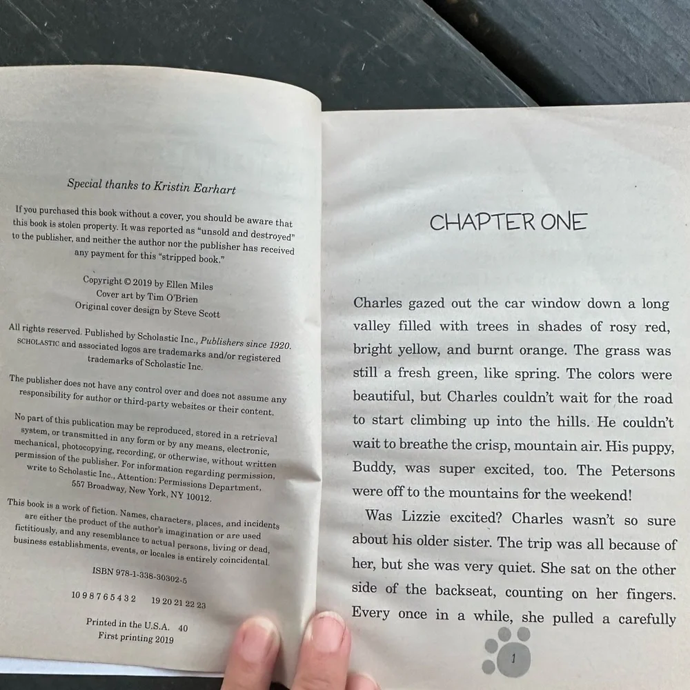 Bentley- The Puppy Place BOOK! Children’s book! - Picture 3 of 11